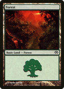Forest (153) (PC2-153)  Foil - Planechase 2012