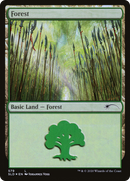 Forest (579) (SLD-579)  Foil - Secret Lair Drop