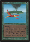 Birds of Paradise (LEB-)  - Limited Edition Beta