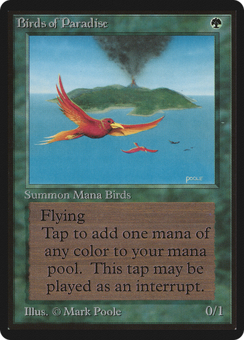 Birds of Paradise (LEB-)  - Limited Edition Beta