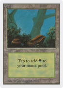 Forest (A) (2ED-)  - Unlimited Edition