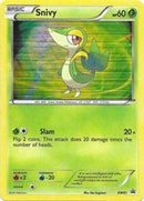Snivy BW01  - Holofoil Black and White Promos - Promo