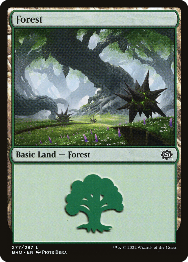 Forest (277) (BRO-277)  Foil - The Brothers' War