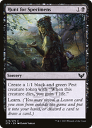Hunt for Specimens (STX-073)  - Strixhaven: School of Mages