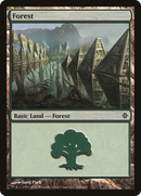 Forest (246) (ROE-246) - Rise of the Eldrazi Foil