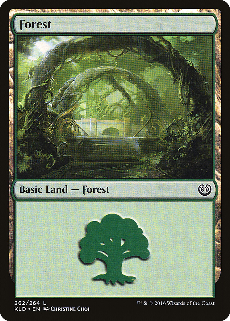 Forest (262) (KLD-262)  - Kaladesh