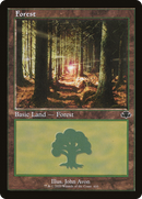 Forest (410) (Retro Frame) (DMR-410)  Foil - Dominaria Remastered
