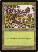 Forest (Red Tree Leaves) (MIR-)  - Mirage