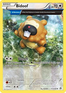 Bidoof (Alpha) 117  - Reverse Holofoil XY  Primal Clash - Uncommon