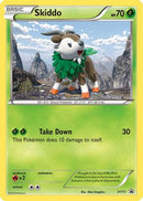Skiddo XY11  - Holofoil XY Promos - Promo