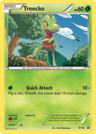 Treecko XY36  - Holofoil XY Promos - Promo