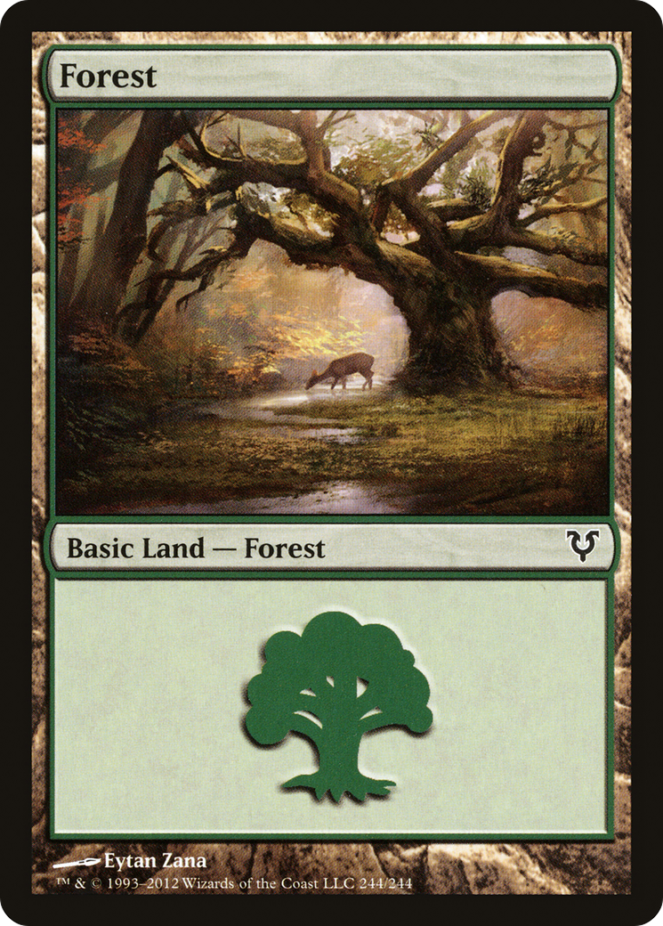 Forest (244) (AVR-244)  - Avacyn Restored