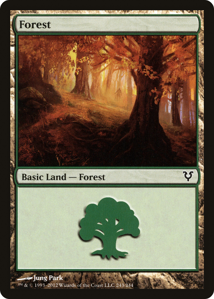 Forest (243) (AVR-243)  Foil - Avacyn Restored