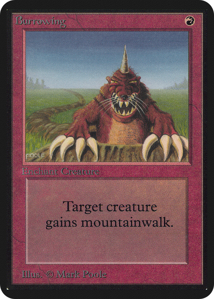 Burrowing (LEA-)  - Limited Edition Alpha