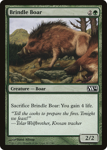 Brindle Boar (M14-167)  Foil - Magic 2014