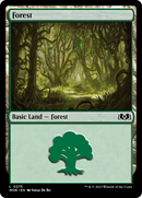 Forest (0275) (WOE-275) - Wilds of Eldraine