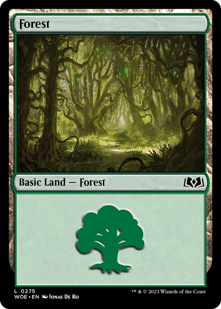 Forest (0275) (WOE-275)  Foil - Wilds of Eldraine