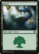 Forest (276) (BRO-276)  Foil - The Brothers' War