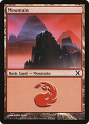 Mountain (376) (10E-376)  - Tenth Edition