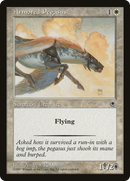 Armored Pegasus (POR-)  - Portal