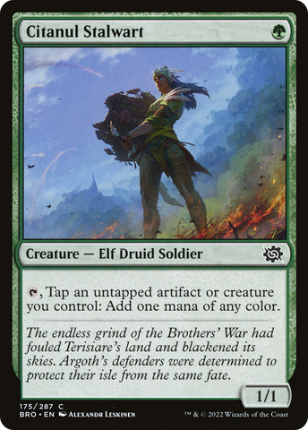 Citanul Stalwart (BRO-175)  Foil - The Brothers' War