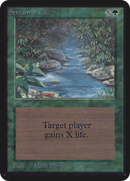 Stream of Life (LEA-)  - Limited Edition Alpha