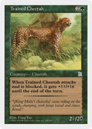 Trained Cheetah (PTK-155)  - Portal Three Kingdoms