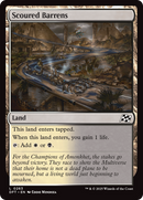 Scoured Barrens (DFT-263)  Foil - Aetherdrift