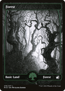 Forest (276) (MID-276)  - Innistrad: Midnight Hunt: (Full Art, Showcase)