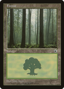 Forest (Ferns on Ground) (POR-)  - Portal