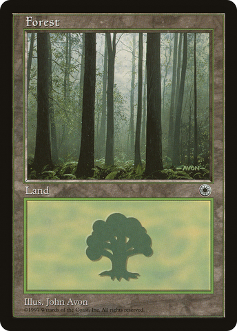 Forest (Ferns on Ground) (POR-)  - Portal
