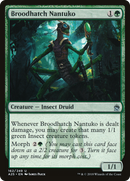 Broodhatch Nantuko (A25-162)  - Masters 25