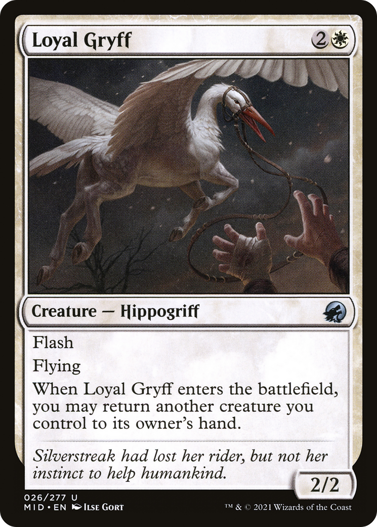Loyal Gryff (MID-026)  - Innistrad: Midnight Hunt