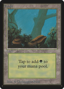 Forest (A) (LEB-)  - Limited Edition Beta