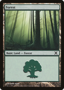Forest (381) (10E-381)  - Tenth Edition