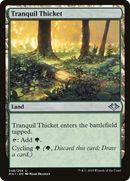 Tranquil Thicket (MH1-248)  Foil - Modern Horizons