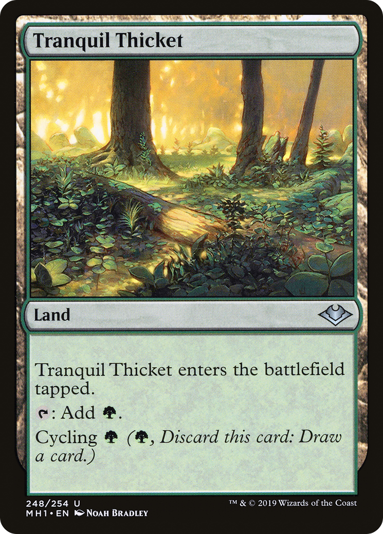 Tranquil Thicket (MH1-248)  Foil - Modern Horizons