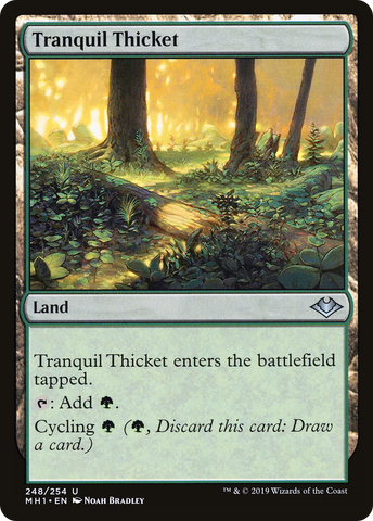 Tranquil Thicket (MH1-248)  - Modern Horizons