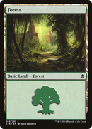 Forest (269) (KTK-269)  - Khans of Tarkir