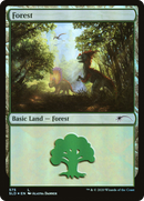 Forest (575) (SLD-575)  Foil - Secret Lair Drop