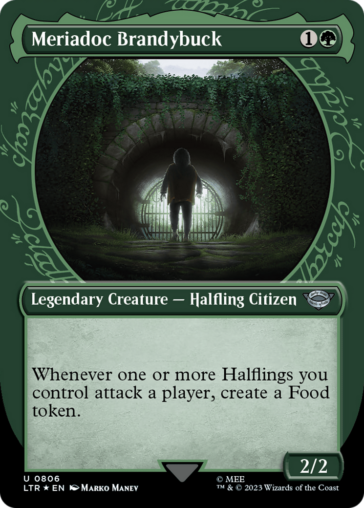 Meriadoc Brandybuck (Showcase) (Surge Foil) (LTR-806)  Foil - The Lord of the Rings: Tales of Middle-earth: (Showcase) (Borderless)