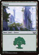 Forest (270) (SNC-270)  - Streets of New Capenna