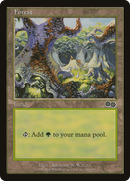 Forest (348) (USG-348)  - Urza's Saga