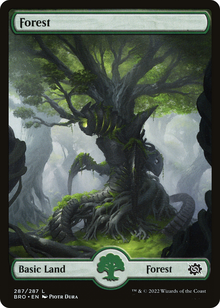 Forest (287) - Full Art (BRO-287)  - The Brothers' War