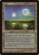 Everglades (VIS-)  - Visions