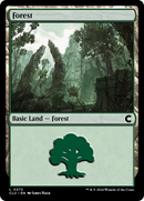 Forest (0272) (CLU-272)  - Ravnica: Clue Edition