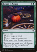 Return to Nature (ELD-173)  Foil - Throne of Eldraine