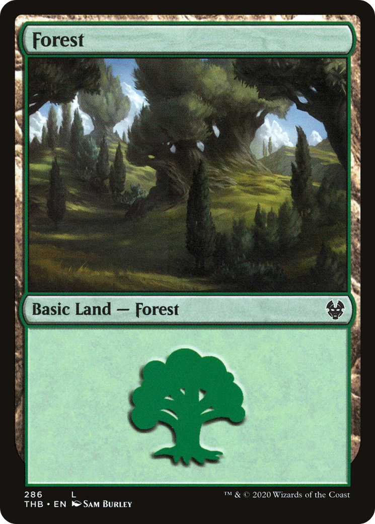 Forest (286) (THB-286)  - Theros Beyond Death