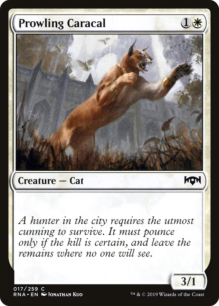 Prowling Caracal (RNA-017)  Foil - Ravnica Allegiance