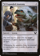 Expanded Anatomy (STX-002)  Foil - Strixhaven: School of Mages: (lesson)